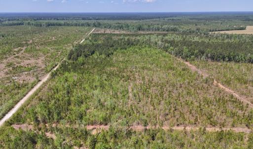 Photo #2 of Lot 6 Guinea Mill Rd, Ernul, NC 25.0 acres