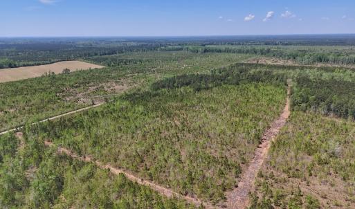 Photo #3 of Lot 6 Guinea Mill Rd, Ernul, NC 25.0 acres