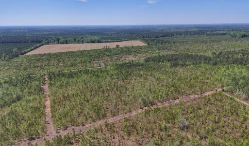 Photo #4 of Lot 6 Guinea Mill Rd, Ernul, NC 25.0 acres