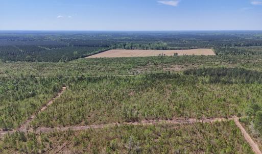 Photo #5 of Lot 6 Guinea Mill Rd, Ernul, NC 25.0 acres
