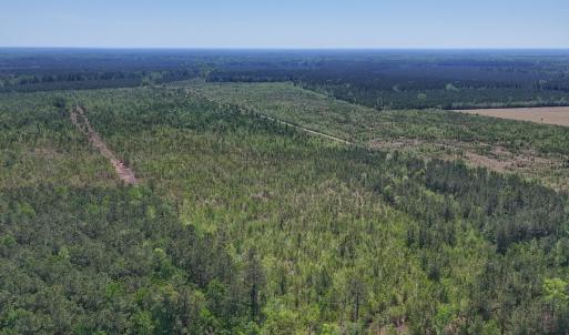 Photo #6 of Lot 6 Guinea Mill Rd, Ernul, NC 25.0 acres