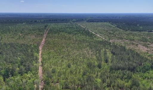 Photo #7 of Lot 6 Guinea Mill Rd, Ernul, NC 25.0 acres