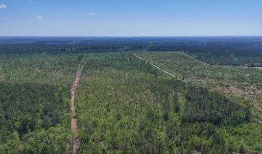 Photo #8 of Lot 6 Guinea Mill Rd, Ernul, NC 25.0 acres
