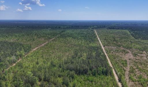 Photo #9 of Lot 6 Guinea Mill Rd, Ernul, NC 25.0 acres