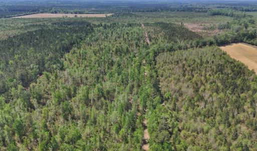 Photo #10 of Lot 7 Guinea Mill Rd, Ernul, NC 39.0 acres