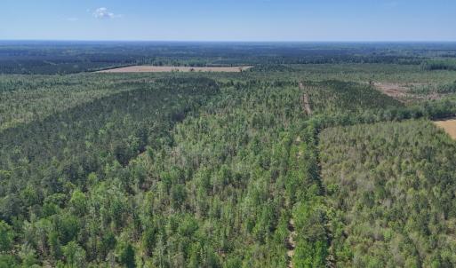 Photo #11 of Lot 7 Guinea Mill Rd, Ernul, NC 39.0 acres