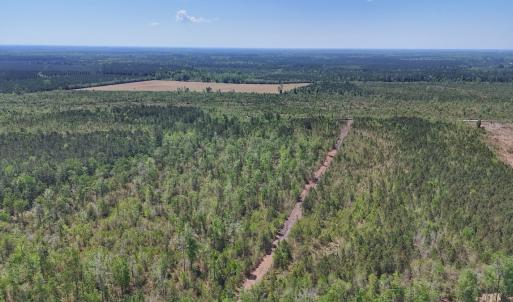 Photo #12 of Lot 7 Guinea Mill Rd, Ernul, NC 39.0 acres