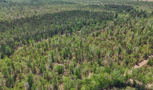 Photo #13 of Lot 7 Guinea Mill Rd, Ernul, NC 39.0 acres