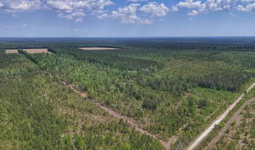 Photo #15 of Lot 7 Guinea Mill Rd, Ernul, NC 39.0 acres