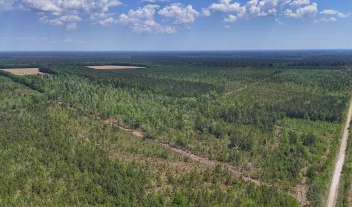 Photo #16 of Lot 7 Guinea Mill Rd, Ernul, NC 39.0 acres