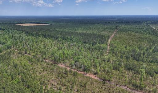 Photo #17 of Lot 7 Guinea Mill Rd, Ernul, NC 39.0 acres