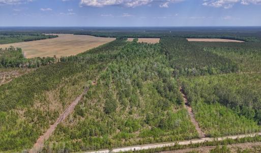 Photo #19 of Lot 7 Guinea Mill Rd, Ernul, NC 39.0 acres