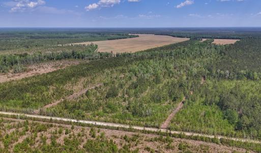 Photo #1 of Lot 7 Guinea Mill Rd, Ernul, NC 39.0 acres