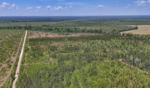 Photo #2 of Lot 7 Guinea Mill Rd, Ernul, NC 39.0 acres