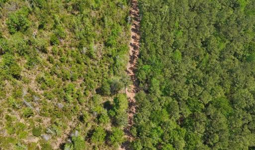 Photo #4 of Lot 7 Guinea Mill Rd, Ernul, NC 39.0 acres