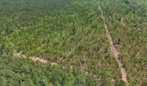 Photo #5 of Lot 7 Guinea Mill Rd, Ernul, NC 39.0 acres