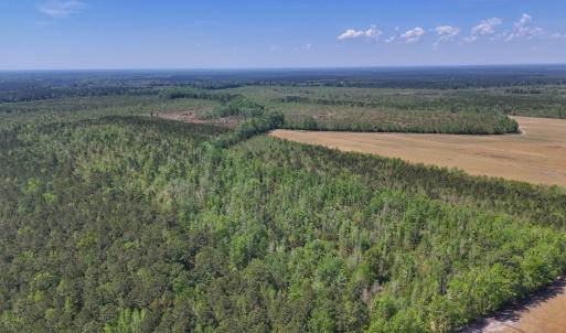 Photo #7 of Lot 7 Guinea Mill Rd, Ernul, NC 39.0 acres