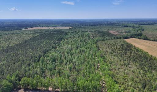 Photo #9 of Lot 7 Guinea Mill Rd, Ernul, NC 39.0 acres