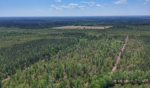 Photo #22 of Lot 7 Guinea Mill Rd, Ernul, NC 39.0 acres