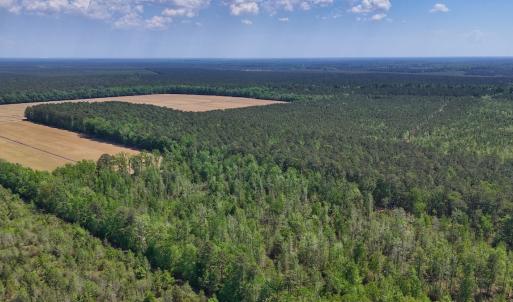 Photo #23 of Lot 7 Guinea Mill Rd, Ernul, NC 39.0 acres