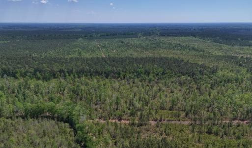 Photo #24 of Lot 7 Guinea Mill Rd, Ernul, NC 39.0 acres