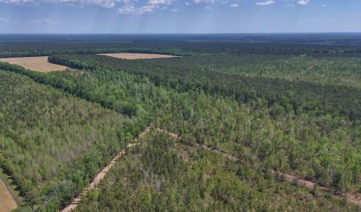 Photo #25 of Lot 7 Guinea Mill Rd, Ernul, NC 39.0 acres