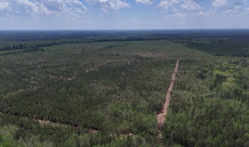 Photo #9 of Lot 12 Guinea Mill Rd, Ernul, NC 35.0 acres