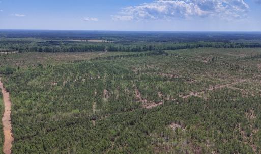 Photo #10 of Lot 12 Guinea Mill Rd, Ernul, NC 35.0 acres