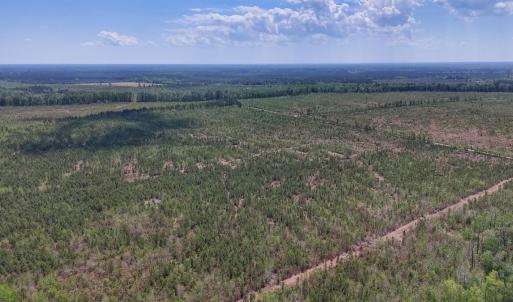 Photo #11 of Lot 12 Guinea Mill Rd, Ernul, NC 35.0 acres