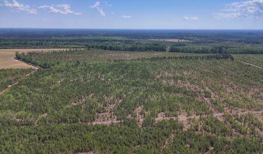 Photo #12 of Lot 12 Guinea Mill Rd, Ernul, NC 35.0 acres