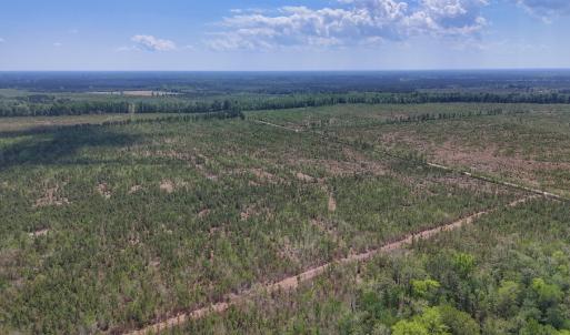 Photo #13 of Lot 12 Guinea Mill Rd, Ernul, NC 35.0 acres