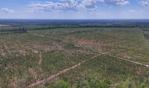 Photo #14 of Lot 12 Guinea Mill Rd, Ernul, NC 35.0 acres