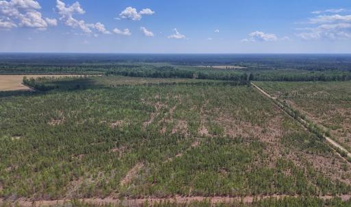 Photo #17 of Lot 12 Guinea Mill Rd, Ernul, NC 35.0 acres