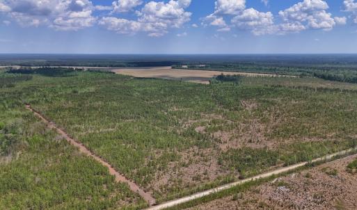 Photo #18 of Lot 12 Guinea Mill Rd, Ernul, NC 35.0 acres