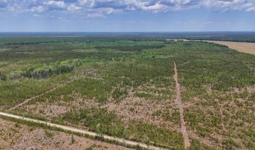 Photo #1 of Lot 12 Guinea Mill Rd, Ernul, NC 35.0 acres