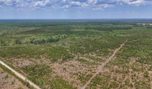 Photo #2 of Lot 12 Guinea Mill Rd, Ernul, NC 35.0 acres