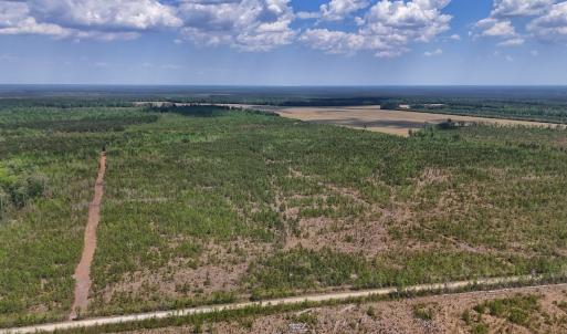 Photo #19 of Lot 12 Guinea Mill Rd, Ernul, NC 35.0 acres