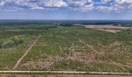 Photo #20 of Lot 12 Guinea Mill Rd, Ernul, NC 35.0 acres