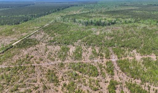 Photo #4 of Lot 12 Guinea Mill Rd, Ernul, NC 35.0 acres