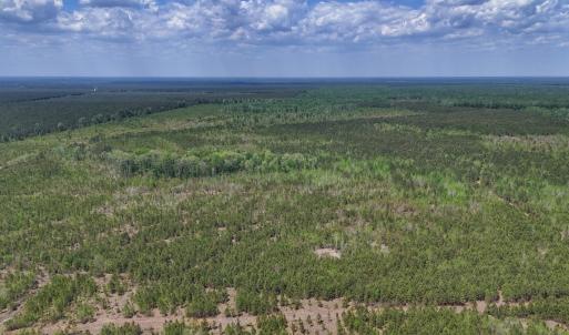 Photo #5 of Lot 12 Guinea Mill Rd, Ernul, NC 35.0 acres