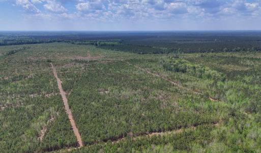 Photo #7 of Lot 12 Guinea Mill Rd, Ernul, NC 35.0 acres