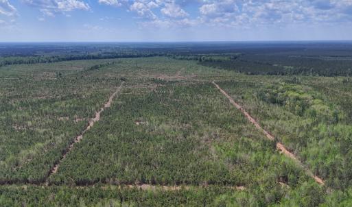 Photo #8 of Lot 12 Guinea Mill Rd, Ernul, NC 35.0 acres
