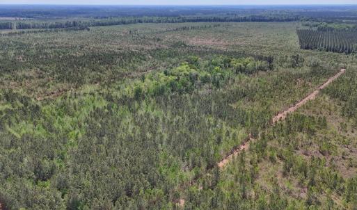 Photo #10 of Lot 13 Guinea Mill Rd, Ernul, NC 35.0 acres