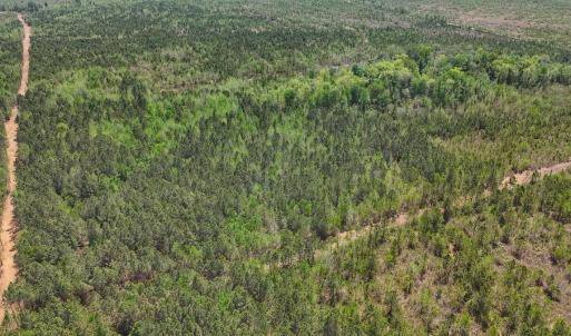 Photo #11 of Lot 13 Guinea Mill Rd, Ernul, NC 35.0 acres