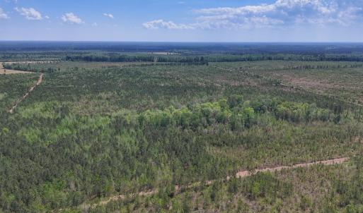 Photo #12 of Lot 13 Guinea Mill Rd, Ernul, NC 35.0 acres