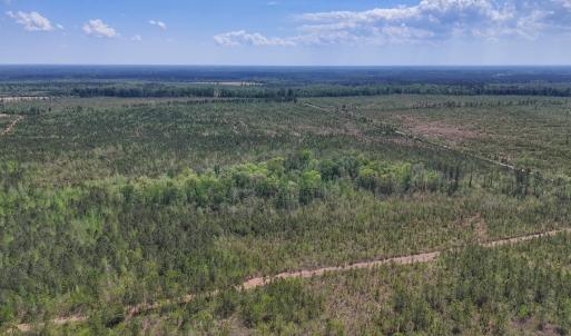 Photo #13 of Lot 13 Guinea Mill Rd, Ernul, NC 35.0 acres