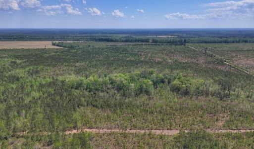 Photo #14 of Lot 13 Guinea Mill Rd, Ernul, NC 35.0 acres