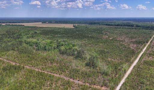 Photo #15 of Lot 13 Guinea Mill Rd, Ernul, NC 35.0 acres