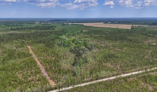 Photo #16 of Lot 13 Guinea Mill Rd, Ernul, NC 35.0 acres