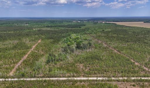 Photo #17 of Lot 13 Guinea Mill Rd, Ernul, NC 35.0 acres